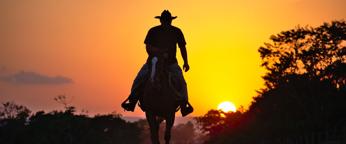 The Outlaw Brand Archetype: Embracing Rebellion and Challenging the Status Quo